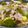 にゃつめ〜's cooksnap of when they made お野菜たっぷり～♪フライパンで蒸し野菜.