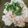 クックM96XDX☆'s cooksnap of when they made 里芋の和風梅サラダ.