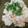 クックM96XDX☆'s cooksnap of when they made 里芋の和風梅サラダ.