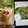 プロフェッショナル24's cooksnap of when they made 切り干し大根と水菜のサラダ.