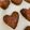 ariyuch's cooksnap of when they made サックサク♡チョコクッキー.
