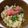 おにもつちゃん's cooksnap of when they made 真鯛のアラと舞茸の炊き込みごはん.