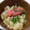 おにもつちゃん's cooksnap of when they made 真鯛のアラと舞茸の炊き込みごはん.