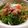 ♡ゆきりん♡'s cooksnap of when they made ツナとポーチドエッグの和風パスタ.