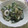 miyuki12's cooksnap of when they made さっと一品♪梅クリチで和えもの.