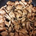 有紗りいなママ's cooksnap of when they made 鶏胸肉の胡麻炒め。.