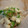 まめrin's cooksnap of when they made おくらと山芋とじゃこのあっさり和え.