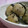 にゃぁくん's cooksnap of when they made 簡単◆里芋の黒胡麻和え◆.