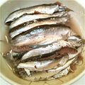 erierich's cooksnap of when they made イワシの酢漬け.