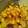 naoniw's cooksnap of when they made さつまいもと大豆のはちみつしょうゆ.