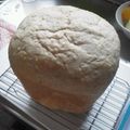 さすつばきる's cooksnap of when they made ご飯入りミルクティ食パン.