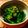 パンダモンチ's cooksnap of when they made 菜の花のからし和え.