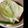 ひぽぽたます0's cooksnap of when they made レンジで簡単♪豆腐とネギの柚胡椒煮.