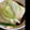 ひぽぽたます0's cooksnap of when they made レンジで簡単♪豆腐とネギの柚胡椒煮.