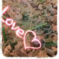 hiromi17's cooksnap of when they made タイ料理屋の鳥ひき肉とパクチー/香菜炒め.