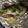 OYSN's cooksnap of when they made トースターで鱈のホイル焼き.