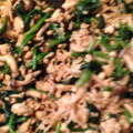 くぅちゃんかーちゃん's cooksnap of when they made ３種の茸とほうれん草の和風パスタ☆.