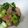 a.k.n.'s cooksnap of when they made チンゲン菜とベーコンのにんにく炒め.