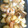 uzurin's cooksnap of when they made 海老とエリンギのオイスターソース炒め.