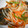 mie0201's cooksnap of when they made ■鯖の南蛮漬け■.
