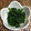 choco359's cooksnap of when they made しっかり味☆ほうれん草の胡麻和え.
