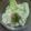 ☆よっちぃ☆'s cooksnap of when they made 簡単 里芋ごまマヨサラダ.
