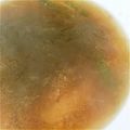 チなつ's cooksnap of when they made とろろ昆布の味噌汁.