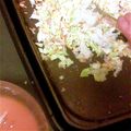 げんきっす's cooksnap of when they made 食べたいときｽｸﾞ出来る☆もんじゃ焼き.
