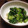 こうへい1206's cooksnap of when they made 小松菜と桜えびのおひたし.