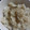 春風綺龍's cooksnap of when they made 簡単♪きのこの炊き込みご飯.