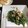 いるかくゆら's cooksnap of when they made 春菊とツナの梅マヨ和え♡.
