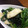 LOVEとりこ's cooksnap of when they made 【簡単】烏賊とほうれん草の中華風生姜炒め.