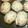 KAORU0124's cooksnap of when they made れんこんの☆はさみ焼き☆（鶏・生鮭）♪.
