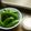 Satoco❋'s cooksnap of when they made スナップえんどうのレモンマヨネーズ　.