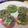 きーぽんママ's cooksnap of when they made ほうれん草バナナ蒸しパン.