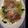 buho1333's cooksnap of when they made カマンベールと生ハムのパスタ♪.