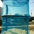 Q＆hikarunomama's cooksnap of when they made 自家製　切干大根の作り方.