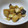 daikanon's cooksnap of when they made エリンギのオイスターソース煮.