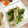 ぶるーべりー☆'s cooksnap of when they made ＊簡単♪春菊と海苔の和えもの＊.