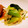 莉彩パパ's cooksnap of when they made 青梗菜とエリンギのもやし旨炒め.