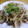 単！！'s cooksnap of when they made 牛肉とごぼうと卵のお惣菜.