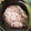 やまぷん's cooksnap of when they made れんこんの練り梅和え.
