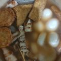 ケイニーママ's cooksnap of when they made 白だしで汁が濁らない☆あっさりおでん.