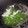 ４番目's cooksnap of when they made 簡単：即席：大葉と大根のつまのスープ.