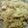 toriatama's cooksnap of when they made ＊しょうがで魚臭くない秋刀魚御飯＊.