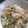 ４番目's cooksnap of when they made 鮭と大葉　まぜごはん.