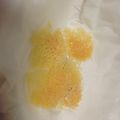 えみかめれぽ's cooksnap of when they made パリパリチーズ.