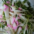 夏みっふぃー's cooksnap of when they made 給料日前の簡単かいわれおつまみ♪.