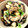 トクライ's cooksnap of when they made かざぴーママの牡蠣のオイスターオイル漬け.