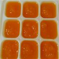 かなたま１００７'s cooksnap of when they made 裏ごし人参（離乳初期）.